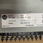 ALLEN BRADLEY CAT 1791-N4V2 模擬模組