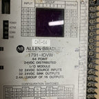 Allen Bradley 1791-IOVW 64 點 24DC 分散式 I/O 模組