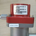 MKS 1000016886 閥門